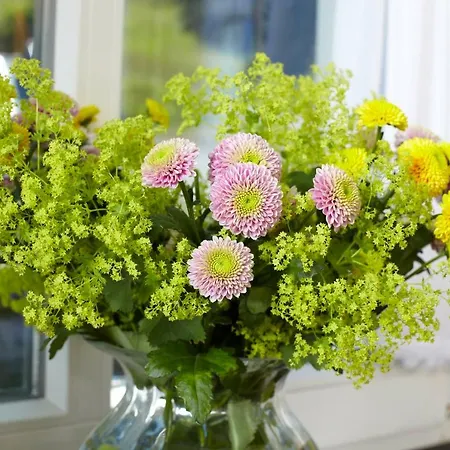 Gasthof Und Schütte