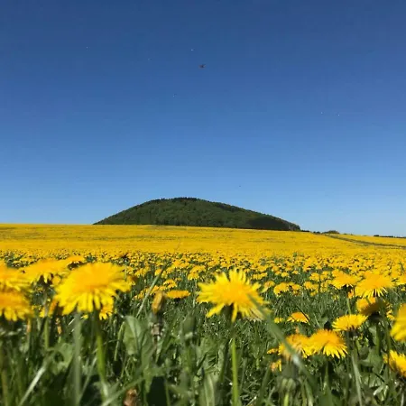 Gasthuis Und Schuette 3*