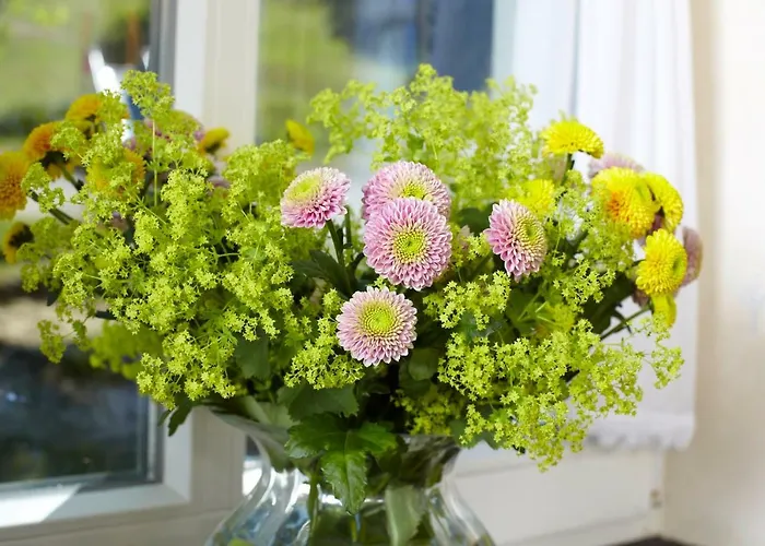 Casa de hóspedes Und Schuette